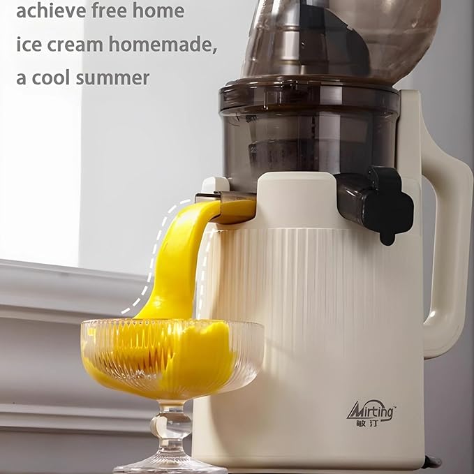 High-Performance Electric Juicer for Fruits and Vegetables