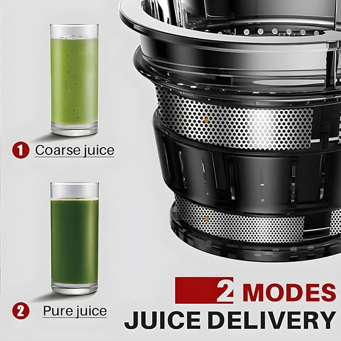 High-Performance Electric Juicer for Fruits and Vegetables